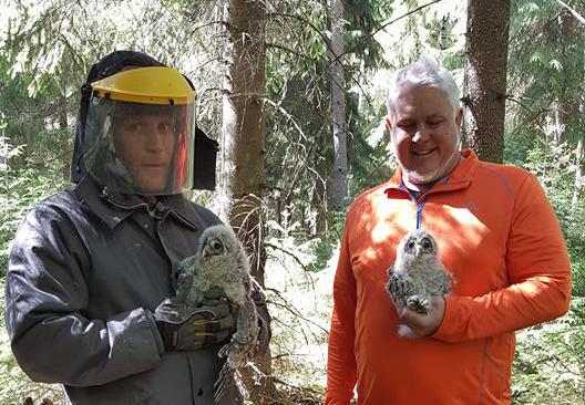 Nate Bickford and his colleague in a forest. Both men are holding an owl. 
