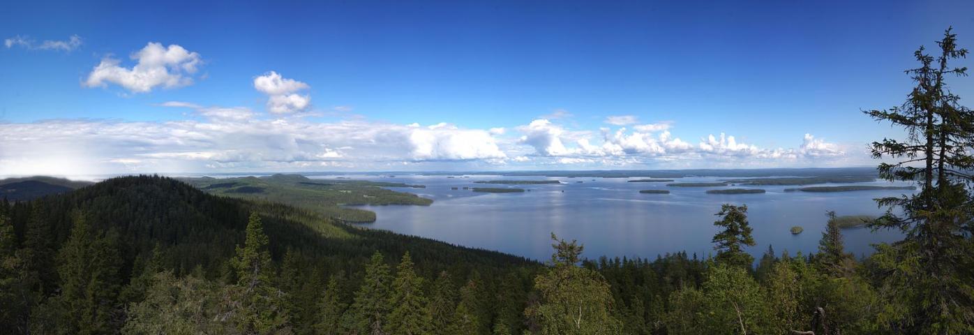 Panoramic view of the Koli National Park during a sunny summer day