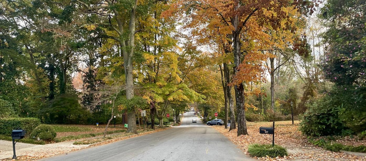 A view from a cyclist point of view - a suburban road with colorful trees on both sides. There are two cars further down the road and mail boxes on the front of the view.