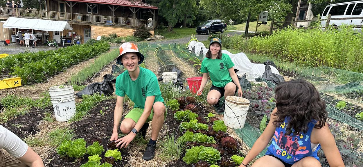 Three SUSI Student Leaders from Europe grantees working on a vegetable patch.
