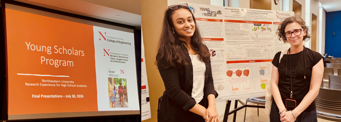 Caterina Soldano at Northeastern University