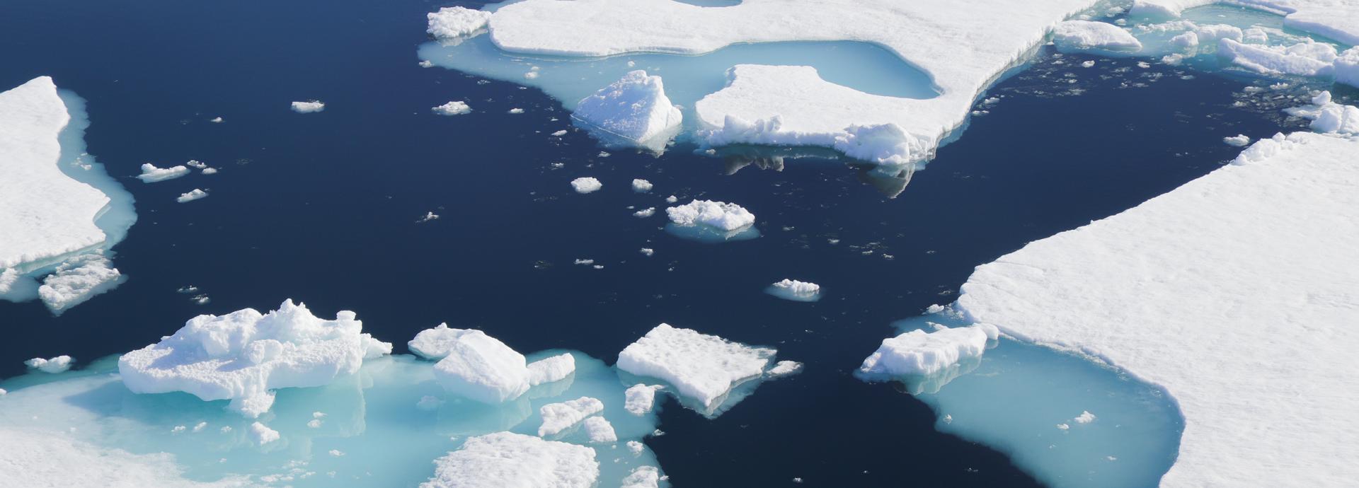 Ice rafts floating in a blue sea.