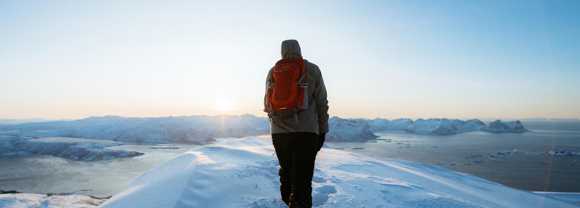 A person is standing on a snowy hill looking at a view that has snowy mountains and frozen sea.