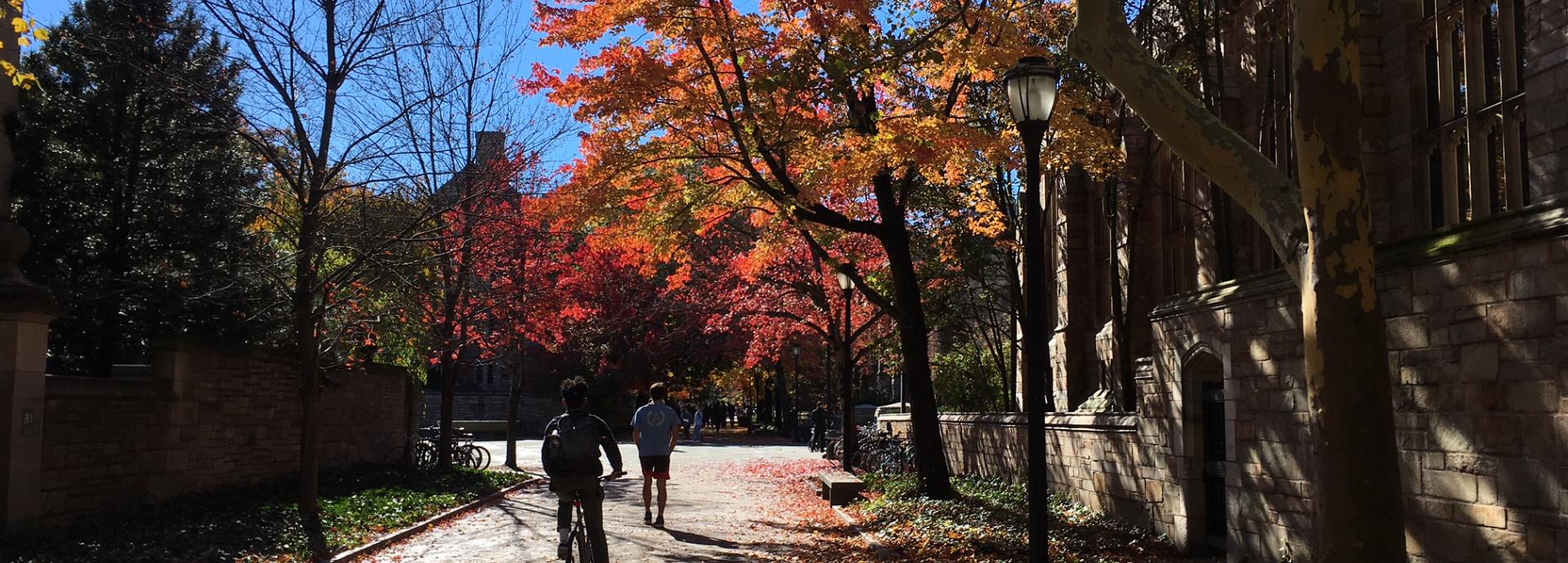 Fall campus